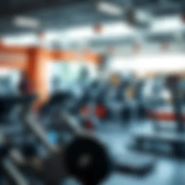 Magnificent CRM Software for Gyms: Optimizing Client Management and Operations